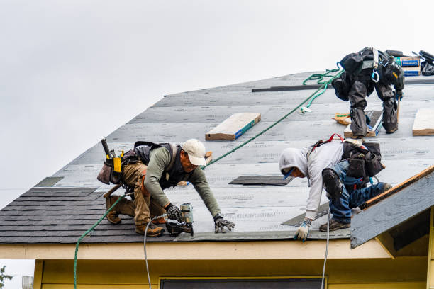 Professional Storm Damage Roof Repair technician working in Norwich, NY